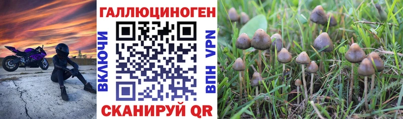 Псилоцибиновые грибы Psilocybe  Арсеньев 